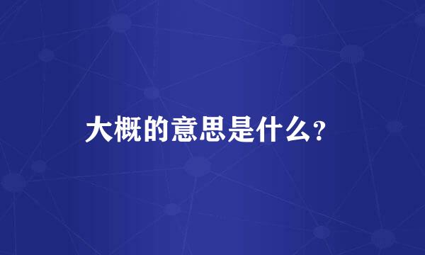 大概的意思是什么？