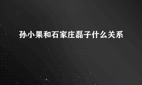 孙小果和石家庄磊子什么关系