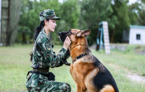 张馨予发文问如何领养退役搜救犬，普通人想要领养搜救犬需要准备什么？