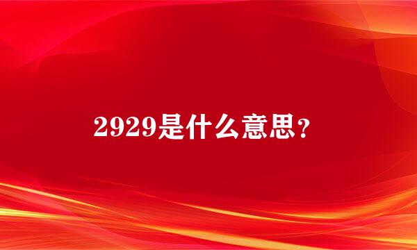 2929是什么意思？