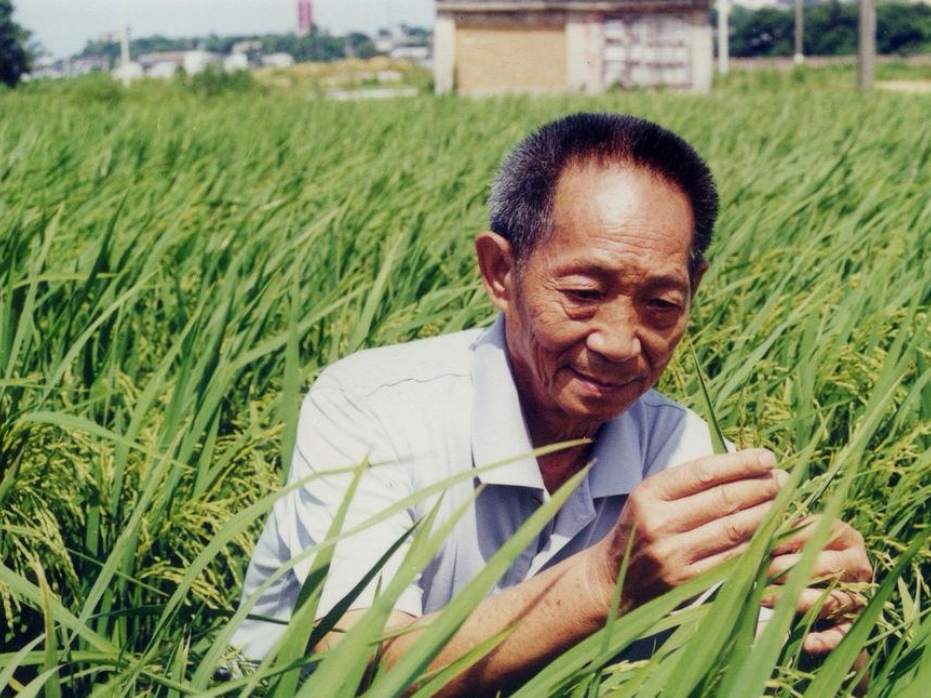 人民日报发文追记袁隆平，你是通过什么了解袁老这个人的？