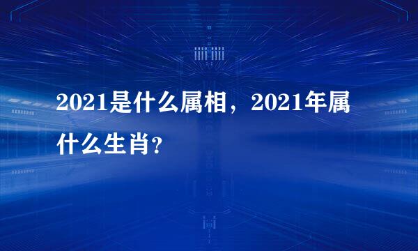 2021是什么属相，2021年属什么生肖？