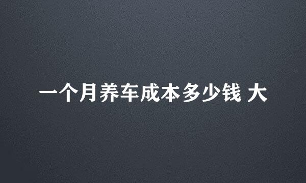 一个月养车成本多少钱 大