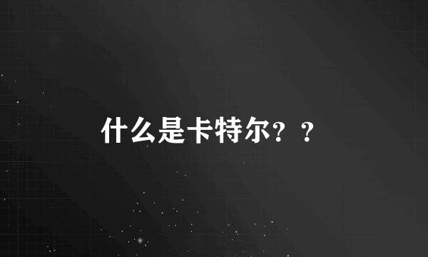 什么是卡特尔？？