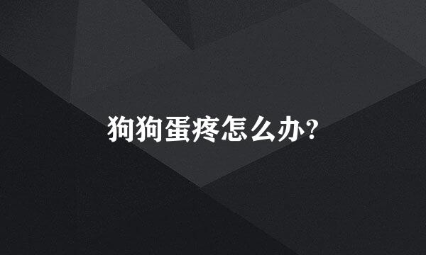 狗狗蛋疼怎么办?