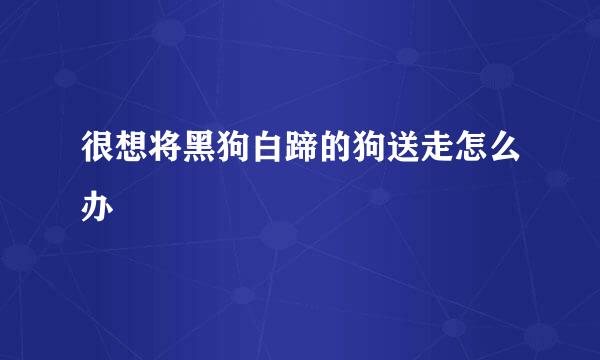 很想将黑狗白蹄的狗送走怎么办