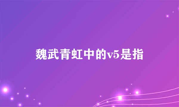 魏武青虹中的v5是指