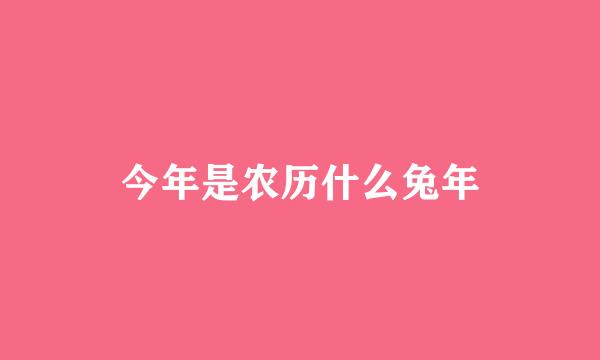 今年是农历什么兔年