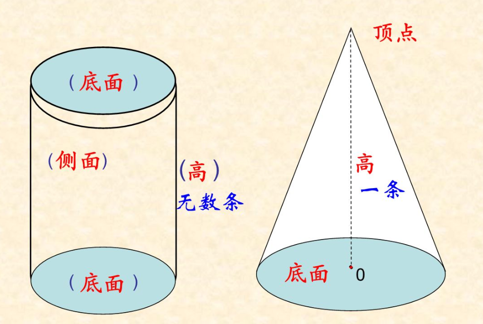 圆柱和圆锥体之间有什么关系呢？