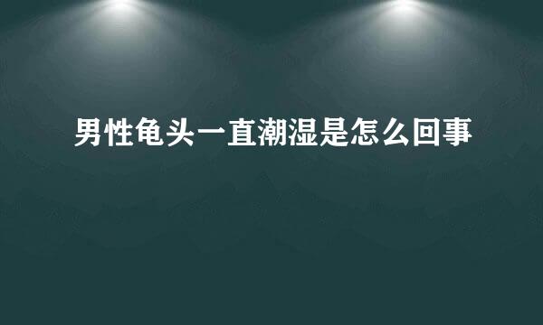 男性龟头一直潮湿是怎么回事