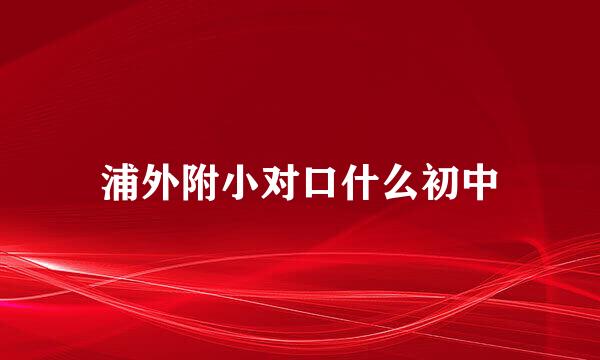 浦外附小对口什么初中