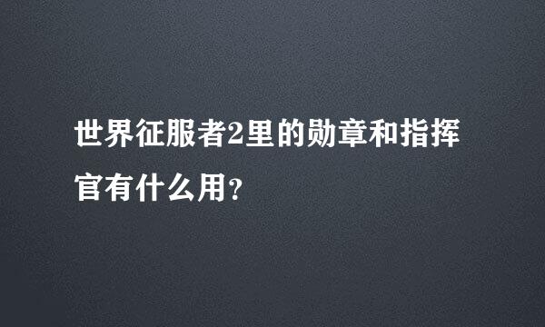 世界征服者2里的勋章和指挥官有什么用？