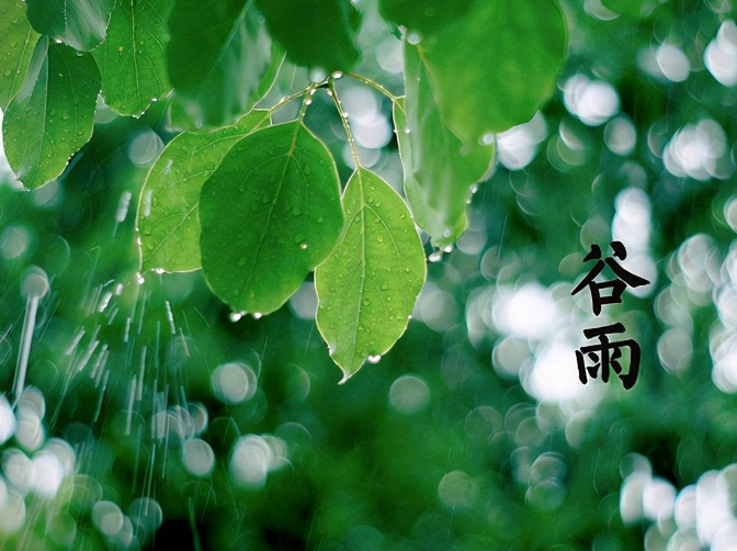 三月中自雨水后盖谷这句话的意思是什么？