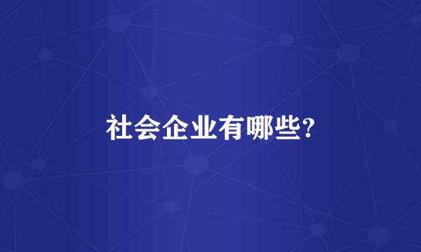 社会企业有哪些?