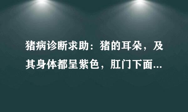 猪病诊断求助：猪的耳朵，及其身体都呈紫色，肛门下面有块很深的紫斑。