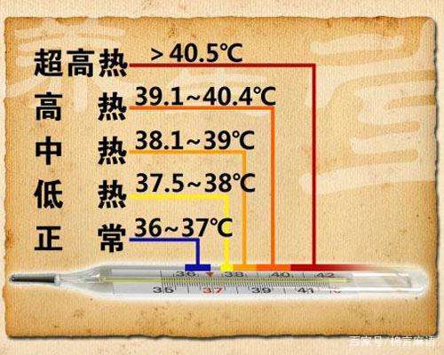 发烧的标准是多少度？