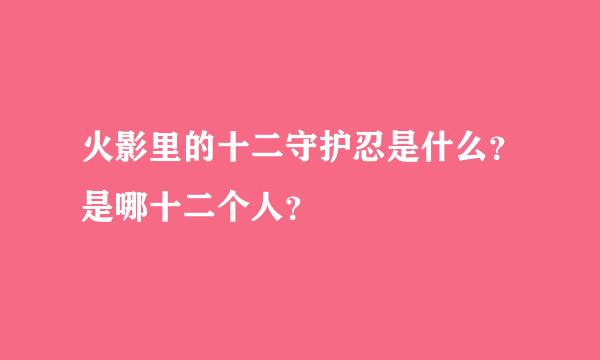 火影里的十二守护忍是什么？是哪十二个人？