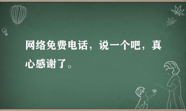 网络免费电话，说一个吧，真心感谢了。