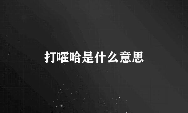 打嚯哈是什么意思