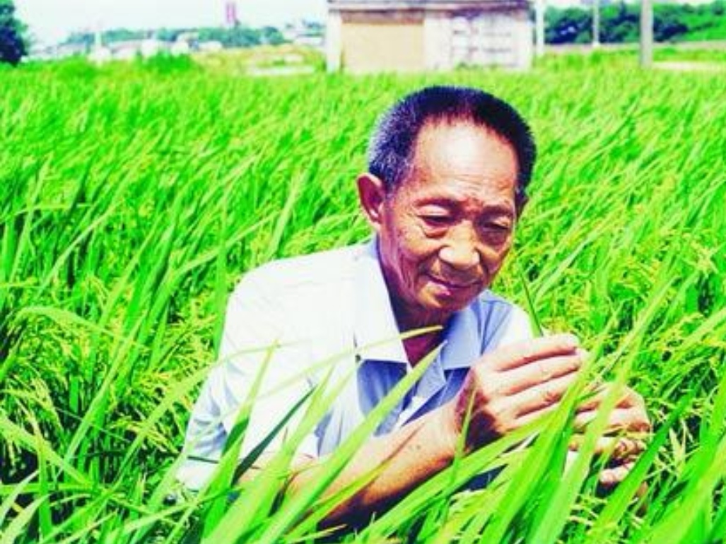 人民日报发文追记袁隆平，你是通过什么了解袁老这个人的？