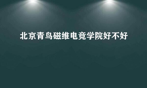 北京青鸟磁维电竞学院好不好