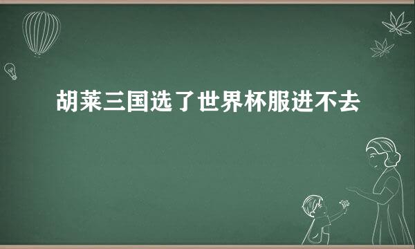 胡莱三国选了世界杯服进不去