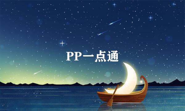 PP一点通