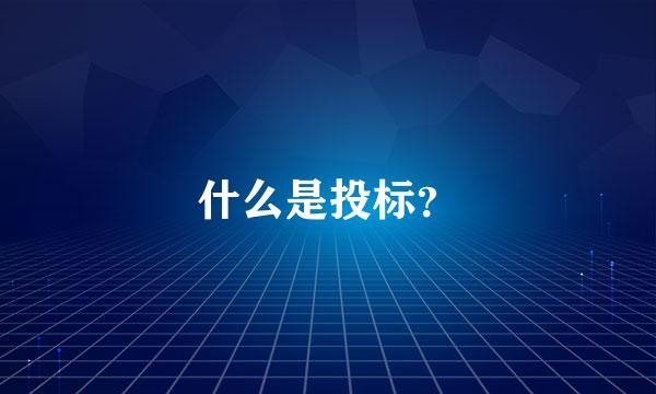 什么是投标？