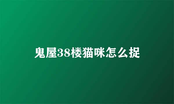 鬼屋38楼猫咪怎么捉