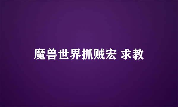 魔兽世界抓贼宏 求教