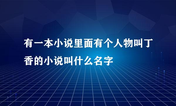 有一本小说里面有个人物叫丁香的小说叫什么名字