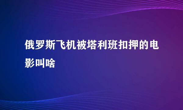 俄罗斯飞机被塔利班扣押的电影叫啥