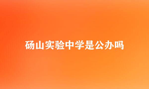 砀山实验中学是公办吗