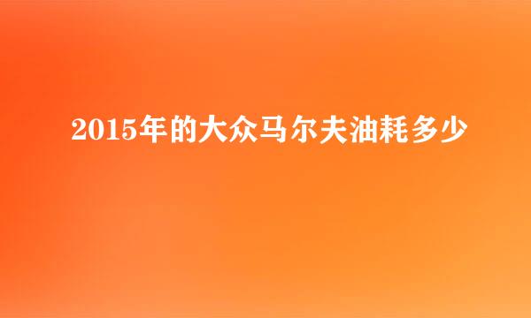 2015年的大众马尔夫油耗多少