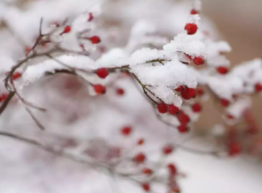 东北雪大到模糊积雪深度达42厘米，市民出行时需要注意哪些问题？