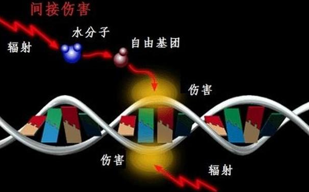 核辐射对人身体的危害