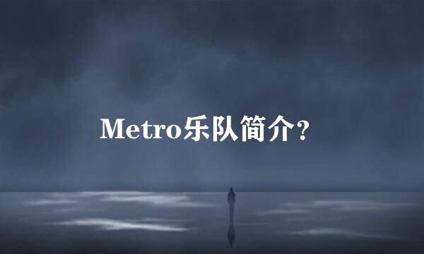 Metro乐队简介？