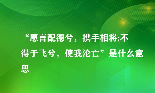 “愿言配德兮，携手相将;不得于飞兮，使我沦亡”是什么意思