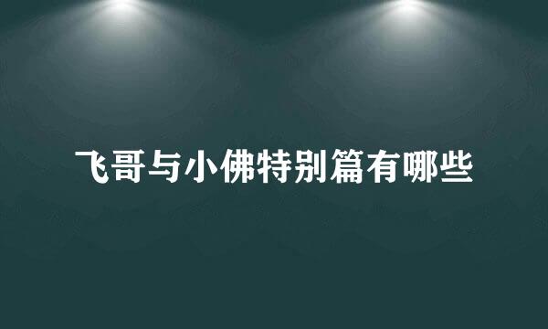 飞哥与小佛特别篇有哪些