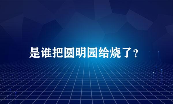 是谁把圆明园给烧了？