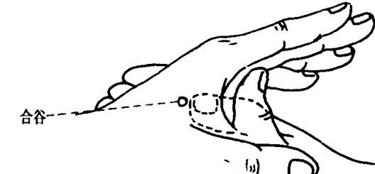 合谷穴在哪个位置图