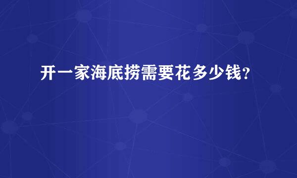 开一家海底捞需要花多少钱？