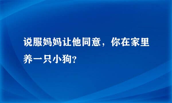 说服妈妈让他同意，你在家里养一只小狗？