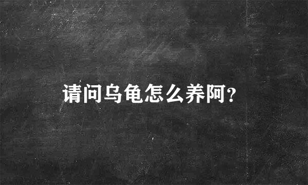 请问乌龟怎么养阿？