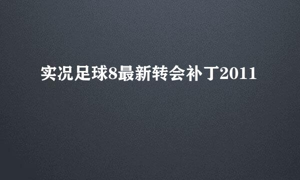 实况足球8最新转会补丁2011