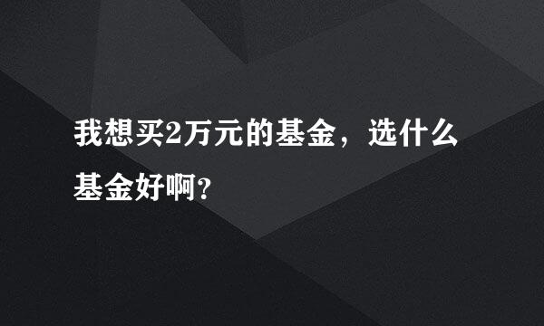 我想买2万元的基金，选什么基金好啊？