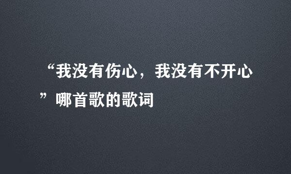 “我没有伤心，我没有不开心”哪首歌的歌词