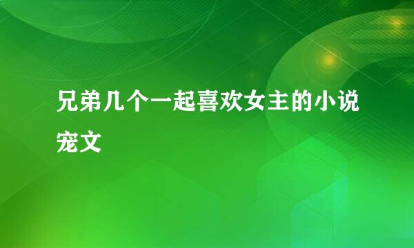 兄弟几个一起喜欢女主的小说宠文