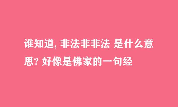 谁知道, 非法非非法 是什么意思? 好像是佛家的一句经