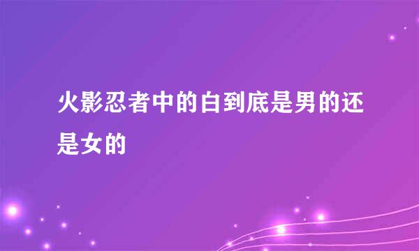 火影忍者中的白到底是男的还是女的